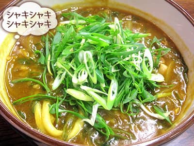 ネギダブルカレーうどん 「シャキシャキ、シャキシャキ」