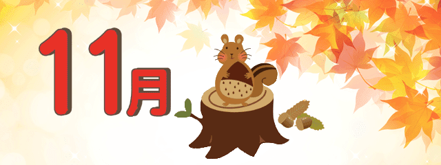 11月限定メニュー